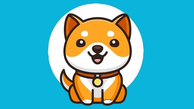  Baby Doge Coin tiếp tục tăng 248% trong tuần